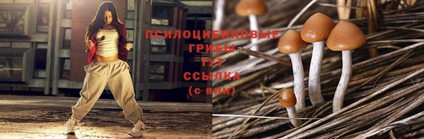 спиды Бородино