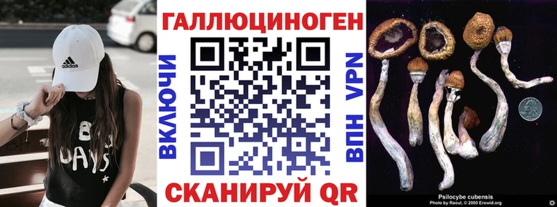 Псилоцибиновые грибы Cubensis Кизляр