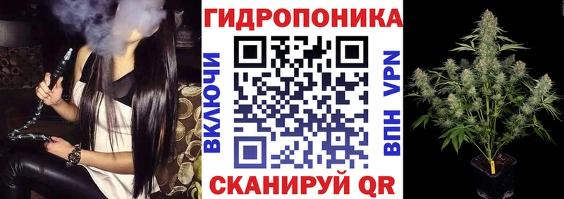 наркотики  darknet какой сайт  Канабис индика  Кизляр 